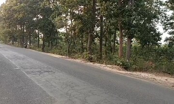মেদিনীপুর