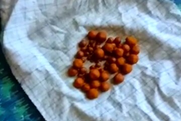 গরুর