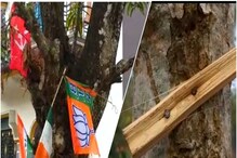 নির্বাচনের প্রচারে গাছের গায়ে পেরেকের ক্ষত, হচ্ছে দীর্ঘমেয়াদী ক্ষত নির্বাচনের প্রচারে গাছের গায়ে পেরেকের ক্ষত, হচ্ছে দীর্ঘমেয়াদী ক্ষত