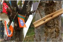 রাজনৈতিক প্রচারে গাছে পেরেক লাগানোয় ক্ষতি হচ্ছে বৃক্ষের, মত পরিবেশবিদদের রাজনৈতিক প্রচারে গাছে পেরেক লাগানোয় ক্ষতি হচ্ছে বৃক্ষের, মত পরিবেশবিদদের