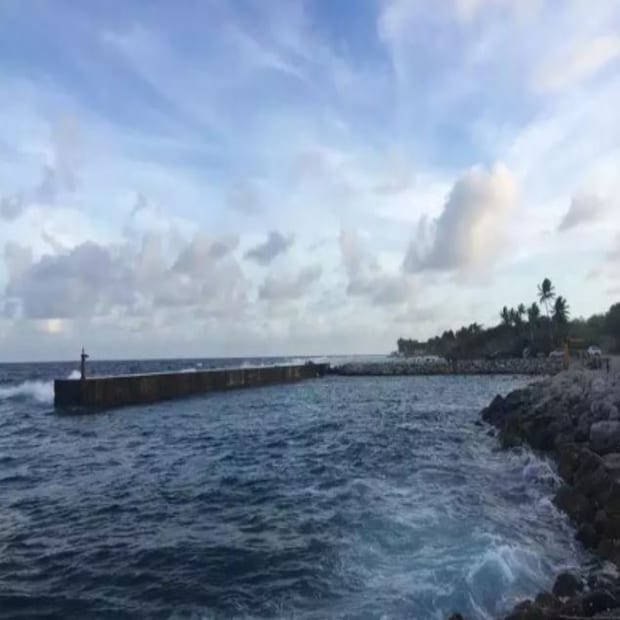 অস্ট্রেলিয়ার কাছে অবস্থিত একটি ছোট দেশ নাউরু। এই দেশটি সাদা বালির সৈকতের জন্য বিখ্যাত। পর্যটকদের মধ্যে জনপ্রিয়। সময়মতো সীমান্ত সিল করে করোনা সংক্রমণ রুখে দেয় এই দেশ। 