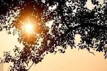 কলকাতায় তাপমাত্রা বাড়ল, আগামী ক’দিন আবহাওয়া কেমন থাকবে, জেনে নিন কলকাতায় তাপমাত্রা বাড়ল, আগামী ক’দিন আবহাওয়া কেমন থাকবে, জেনে নিন