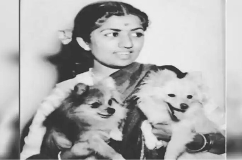  এর আগেও সঙ্কটজনক অবস্থায় একাধিক বার হাসপাতালে ভর্তি করাতে হয়েছিল লতাকে। কিন্তু অনুরাগীদের আশ্বস্ত করে প্রত্যেকবারই সুস্থ হয়ে বাড়ি ফিরে গিয়েছিলেন। File Photo