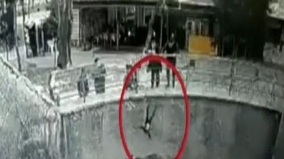 Viral Video Viral Video