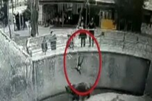 চিড়িয়াখানায় ভালুকের খাঁচায় ৩ বছরের মেয়েকে ছুড়ে দিল মা, তার পর? ভাইরাল ভিডিও চিড়িয়াখানায় ভালুকের খাঁচায় ৩ বছরের মেয়েকে ছুড়ে দিল মা, তার পর? ভাইরাল ভিডিও