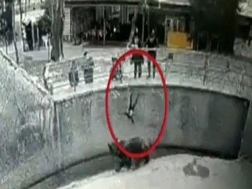 Viral Video