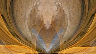 Digital Gold Investment: why investing in digital gold can be a better way to earn money by investments- Photo- Representative 