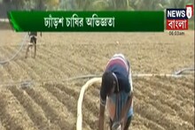জমিকে আগাছামুক্ত করে ঢ্যাঁড়শ চাষ করার পদ্ধতি জেনে নিতে দেখুন Annadata