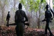 কোলে আড়াই বছরের মেয়ে, অপহৃত স্বামীর খোঁজে মাওবাদীদের ডেরায় ঢুকলেন স্ত্রী!
