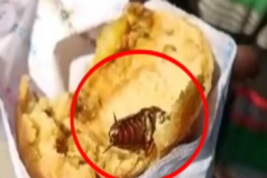 Cockroach in food