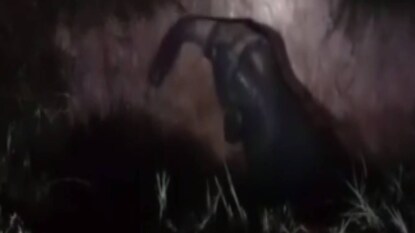 মত্ত হাতির দল ভেঙে তছনছ করে দিয়েছে প্রায় চার চারটি বাড়ি।পালিয়ে বাঁচলেন সমসের আলির পরিবারের সদস্যরা। ধূপগুড়ি ব্লকের সাকোয়োঝোড়া ২ গ্ৰাম পঞ্চায়েতের মল্লিকশোভা এলাকা জুড়ে এর পরেই হাতির উপদ্রবের ভয়ে কার্যত ত্রস্ত এলাকার মানুষ। প্রতীকী ছবি। প্রতিবেদন: রকি চৌধূরি, ধূপগুড়ি মত্ত হাতির দল ভেঙে তছনছ করে দিয়েছে প্রায় চার চারটি বাড়ি।পালিয়ে বাঁচলেন সমসের আলির পরিবারের সদস্যরা। ধূপগুড়ি ব্লকের সাকোয়োঝোড়া ২ গ্ৰাম পঞ্চায়েতের মল্লিকশোভা এলাকা জুড়ে এর পরেই হাতির উপদ্রবের ভয়ে কার্যত ত্রস্ত এলাকার মানুষ। প্রতীকী ছবি। প্রতিবেদন: রকি চৌধূরি, ধূপগুড়ি