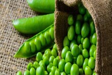 এ ভাবে রাখলে দীর্ঘ দিন তাজা থাকবে মটরশুঁটি