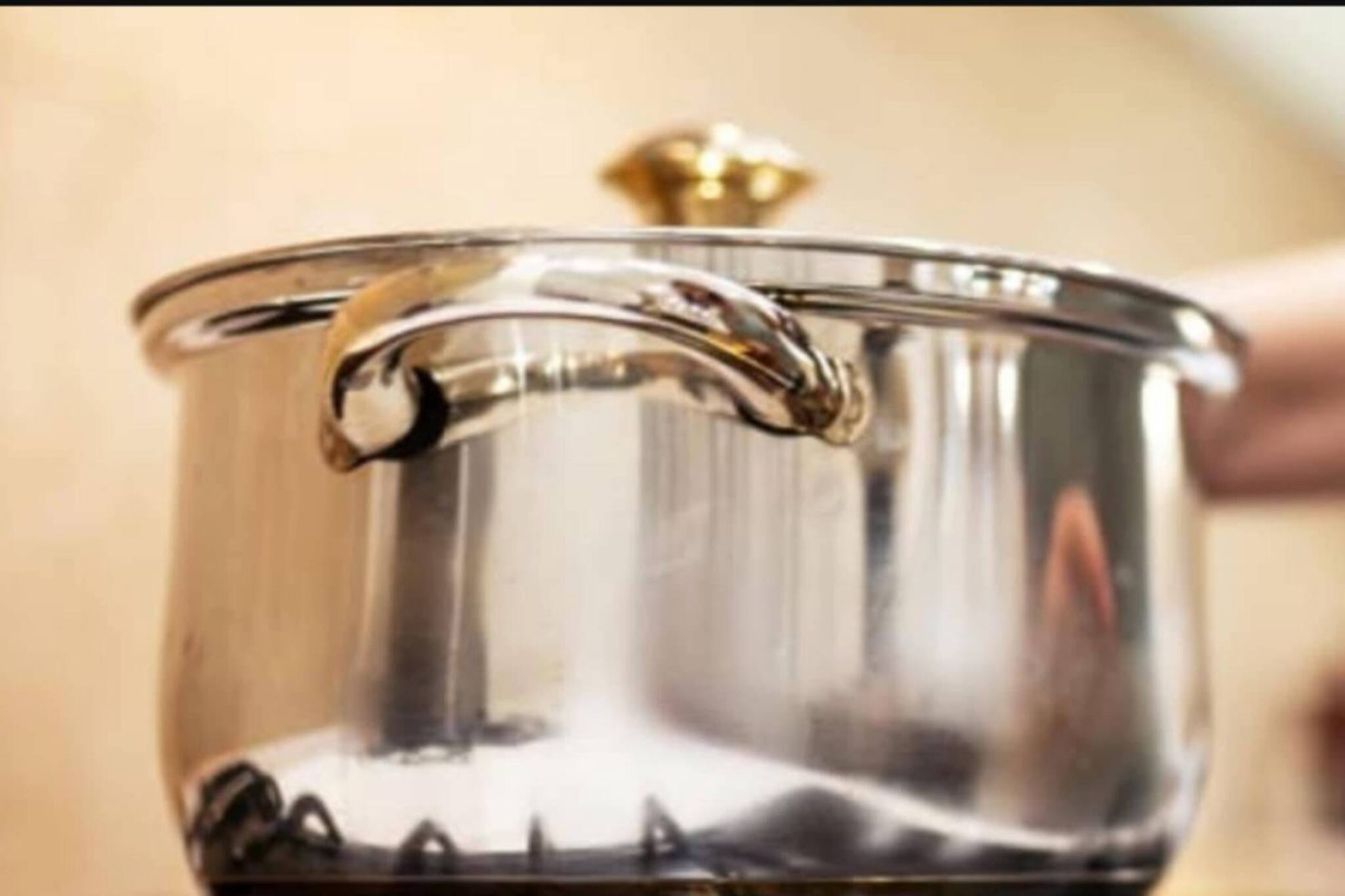 মশলার দাগ-সহ তেলচিটে গ্যাসের আভেন সাফ করতে নাজেহাল? আপনার জন্য ঘরোয়া সমাধান