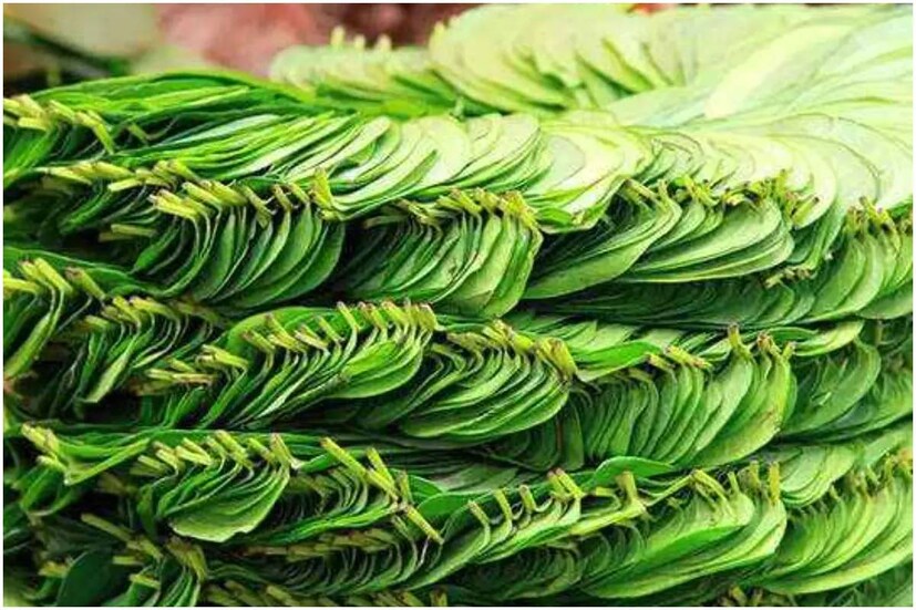 পানসুপুরি খাওয়ার ফলে কর্মশক্তি বৃদ্ধি পায়৷ মনের মধ্যে ভাল লাগার অনুভূতি আসে৷ তাছাড়া যৌনক্ষমতাও বৃদ্ধি পায় সুপুরির গুণে৷ 