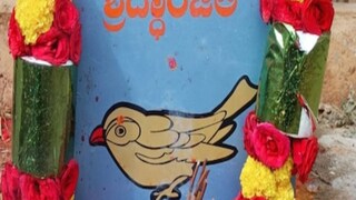 Karnataka villagers bid adieu to a friendly sparrow