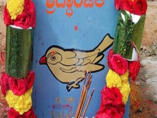 Karnataka villagers bid adieu to a friendly sparrow