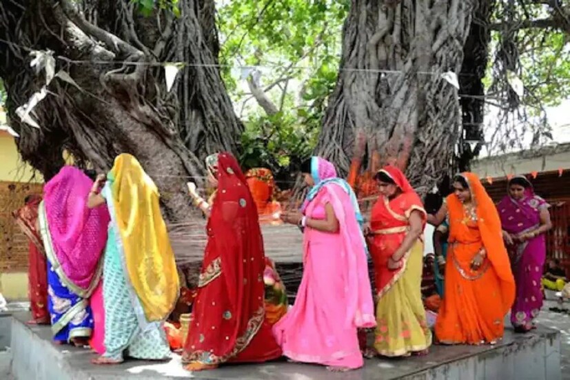 সাবিত্রী ব্রতর বিশেষ মাহাত্ম্য আছে৷ জ্যেষ্ঠা অমাবস্যায় এই ব্রত পালিত হয় স্বামীর সুস্থ ও দীর্ঘ জীবনের জন্য৷ ব্রতপালনের দিন পুজো করা হয় বটবৃক্ষের৷ 
