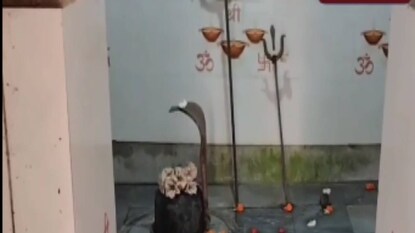 প্রায় সাড়ে ৩৫০ বছরের পুরনো এই ভুবনেশ্বর শিব মন্দির বর্ধমান রাজবাড়ির (Bardhaman Rajbari) চত্বরেই প্রতিষ্ঠিত প্রায় সাড়ে ৩৫০ বছরের পুরনো এই ভুবনেশ্বর শিব মন্দির বর্ধমান রাজবাড়ির (Bardhaman Rajbari) চত্বরেই প্রতিষ্ঠিত