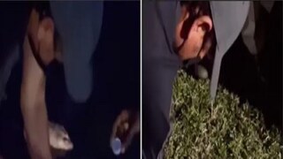 Sachin Tendulkar Viral Video