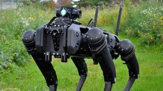 photo source collected photo source collected