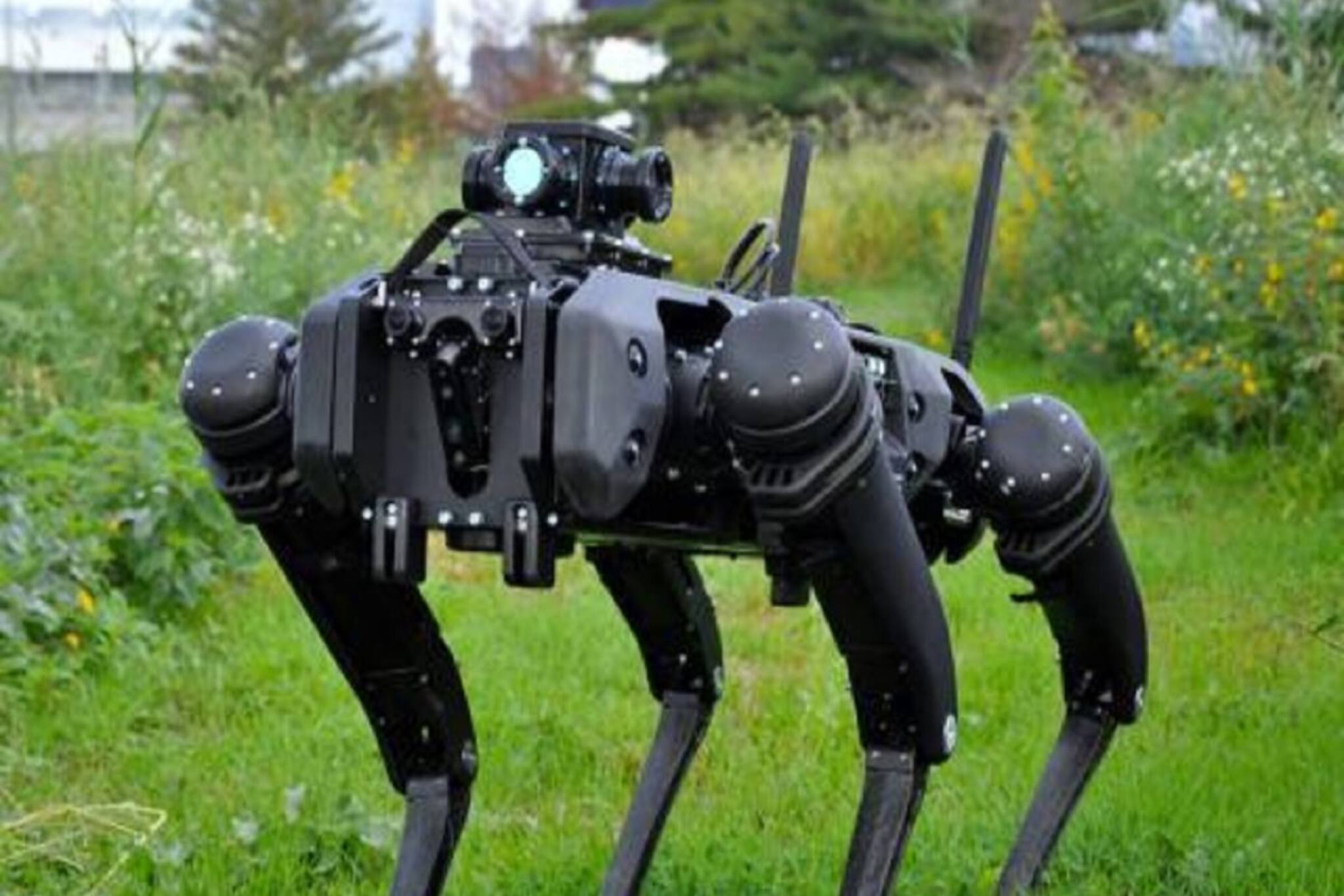 অবৈধ প্রবেশ আটকাতে সীমান্তে কড়া পাহারায় রোবট কুকুর ! জানুন কী ভাবে কাজ করে