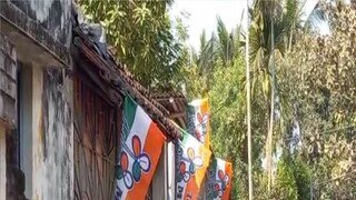 প্রতীকী ছবি। প্রতীকী ছবি।