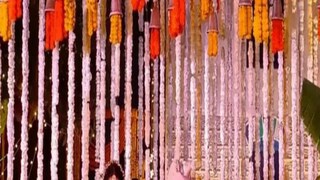 Vikrant Massey and Sheetal Thakur’s Marriage