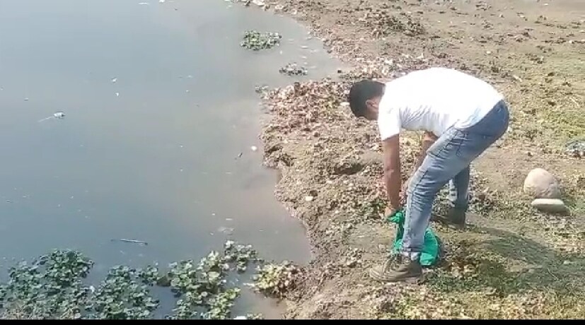 ঘটনায় চাঞ্চল্য ছড়িয়েছে স্কুল প্রাঙ্গণে। জেলার অন্যান্য প্রাথমিক ও উচ্চ প্রাথমিক স্কুলের মতো এদিন জলপাইগুড়ি পাতকাটা কলোনির মোড়ল পাড়া প্রাথমিক বিদ্যালয়েরও দরজার তালা খুলেছে। কিন্তু ক্লাসরুমের দরজা খুলতেই ঘরের ভেতর থেকে শিক্ষকদের দিকে ওই 'ফণাধর' গোখরো সাপটি।