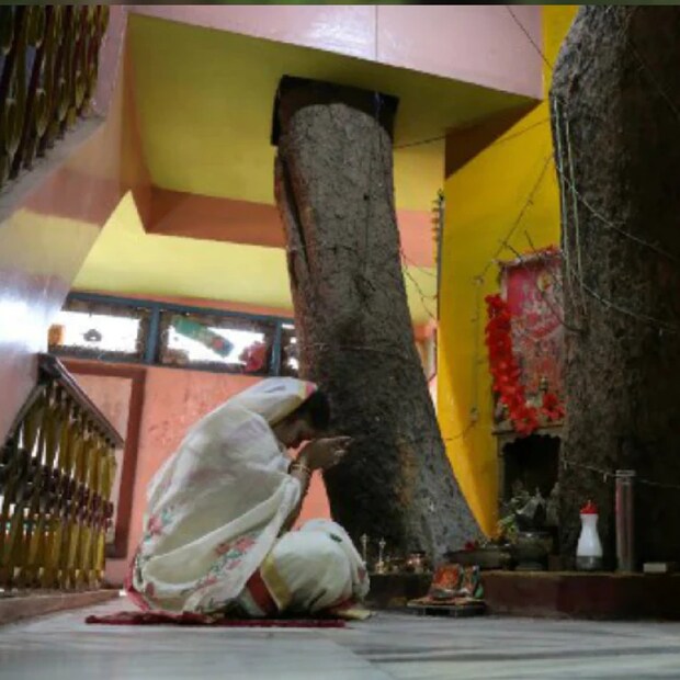 জমির মাঝখানে বট গাছ থাকায় বাড়ি বানাতে অনেক অসুবিধা হলেও কেশরওয়ানী সেটি কাটতে রাজি হননি। তাঁর পরিবারের সদস্যরা পরে গাছ না কেটে এর চারপাশে একটি বাড়ি তৈরি করার সিদ্ধান্ত নেন। গাছের চারপাশে তৈরি এই বাড়িটি সম্পূর্ণ পরিবেশবান্ধব।