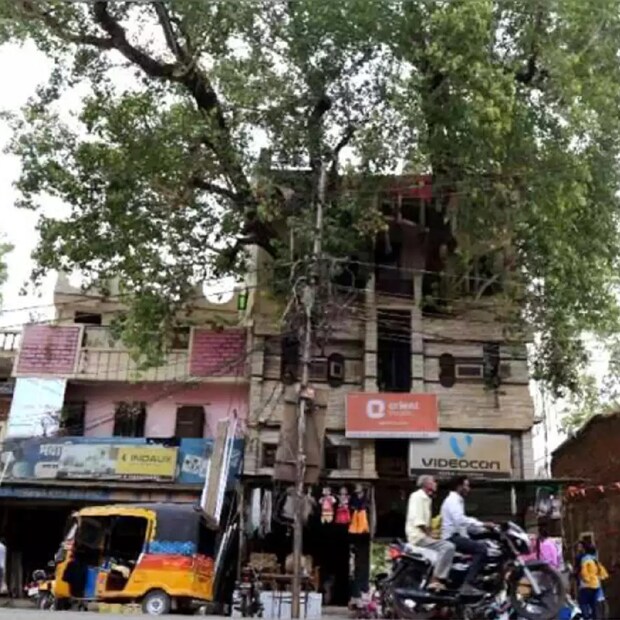 পরিবেশ সুরক্ষার পাশাপাশি বট গাছের আধ্যাত্মিক গুরুত্বও রয়েছে অনেকের কাছে। বিশ্বাস অনুসারে, এই গাছে ৩৩ কোটি দেবতাও বাস করেন। এই কারণেই বাড়ির সদস্যরাও প্রতিদিন এই গাছের পুজো করেন। বৈজ্ঞানিকভাবেও বটই একমাত্র গাছ যা দিনে ও রাতে অক্সিজেন দেয়। বাড়ির লোকজন বলেন, এই বাড়ির মাধ্যমে আমরা এখানকার মানুষকে একটা বার্তা দিতে চাই। যে কোনো কিছু ধ্বংস করা সহজ, কিন্তু নির্মাণ করা কঠিন।