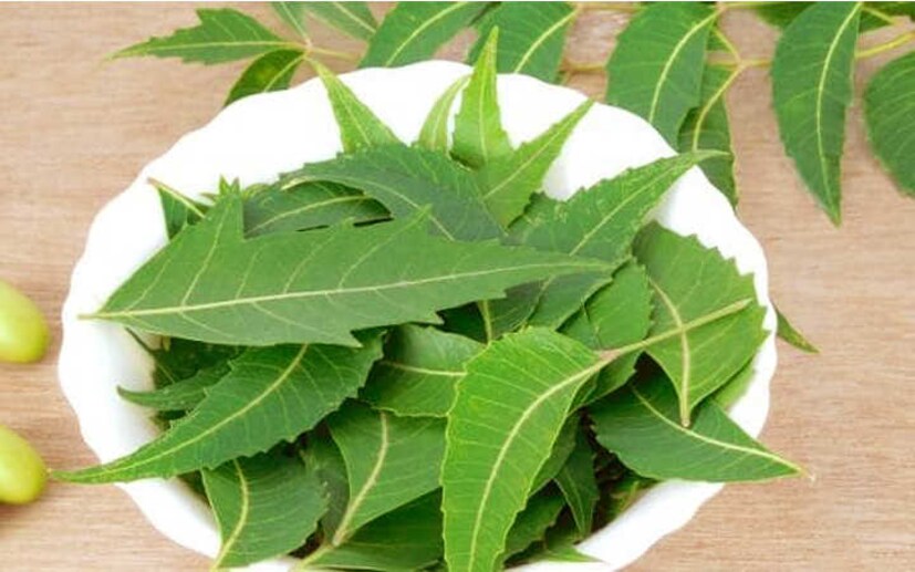 এল লিটার জলে এক মুঠো নিমপাতা ফুটিয়ে নিন। মিশ্রণ ঠান্ডা করে বোতলে ভরে রেখে দিন। সপ্তাহে অন্তত একবার শ্যাম্পু করার পর এই নিমের জলে চুল ধুয়ে নিন। স্ক্যাল্পে কোনওরকম ইনফেকশন বা খুশকির সমস্যা থাকলে নিমের প্রভাবে তা থেকে মুক্তি পাবেন।