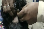 বিমানবন্দরে যাত্রীর চুলে চাঞ্চল্য, কাস্টমসের কাছে ধরা পড়ে গেল সব! কী ছিল জানেন?