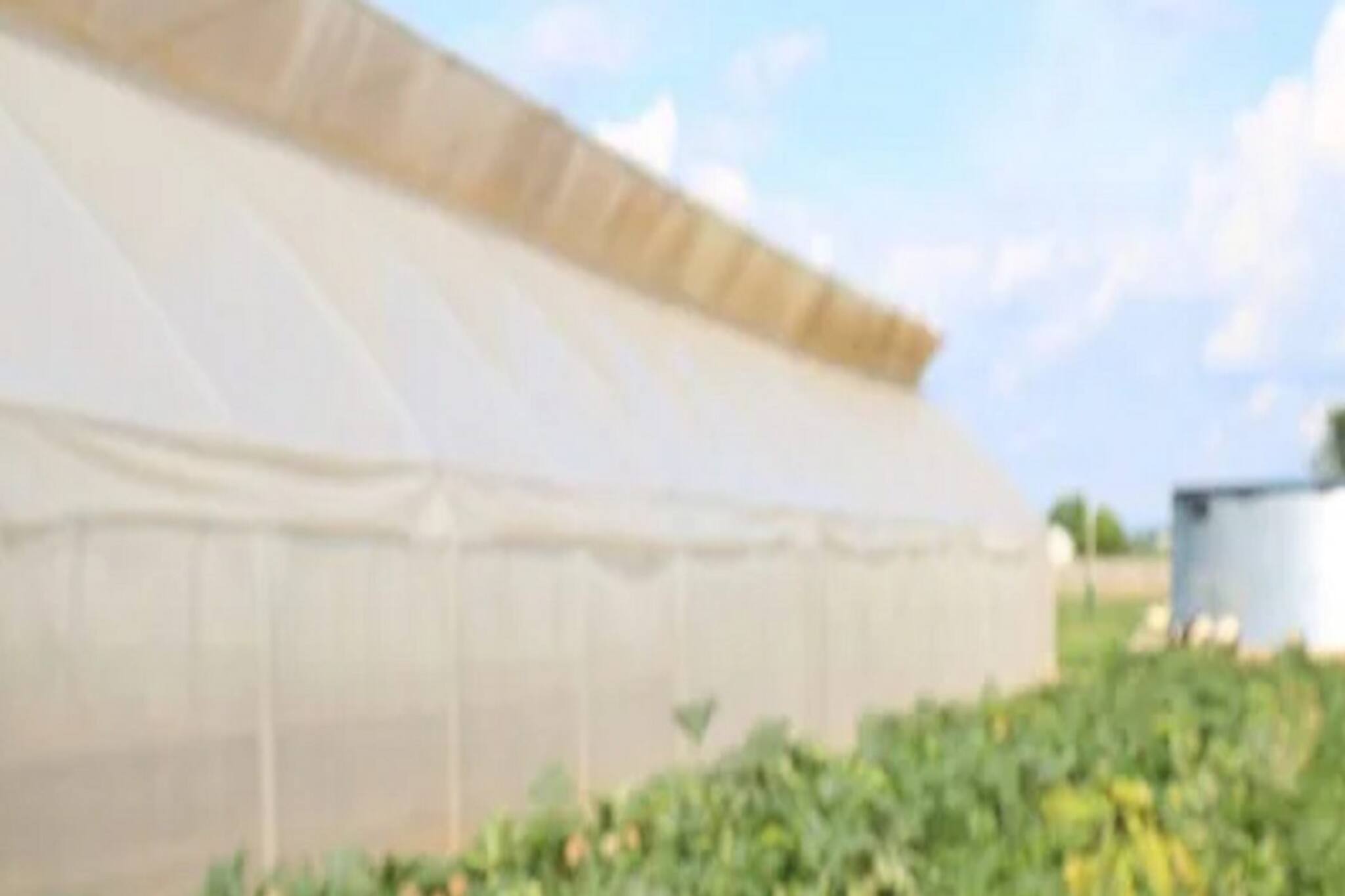 মাত্র ১ লক্ষ টাকা দিয়ে শুরু করুন এই ব্যবসা, আয় করবেন ৮ লক্ষ টাকা!