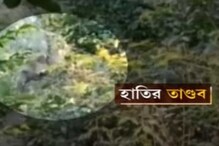 আউশগ্রামের পরে এবার বীরভূমে হাতির হানা, ত্রস্ত মানুষ! দেখুন ভিডিও আউশগ্রামের পরে এবার বীরভূমে হাতির হানা, ত্রস্ত মানুষ! দেখুন ভিডিও