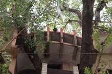Tree House In Jabalpur: ১২৭ বছরের পুরনো গাছ কাটতে মন চায়নি, এই পরিবার বাড়ি বানাল দারুন উপায়ে, দেখুন