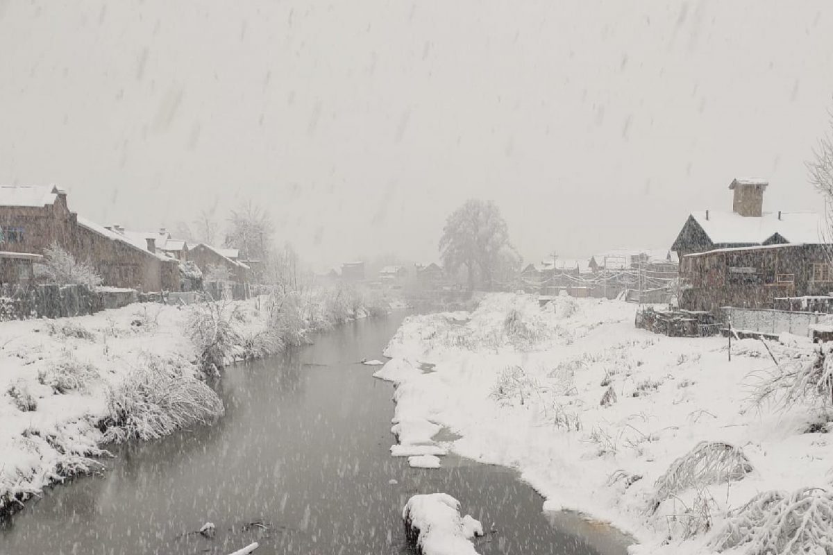 Fresh Snowfall In Kashmir: যেদিকে চোখ যাবে শুধুই সাদা বরফ! লোড শেডিং, রাস্তা বন্ধ, কাশ্মীরের মানুষ মহাসমস্যায়