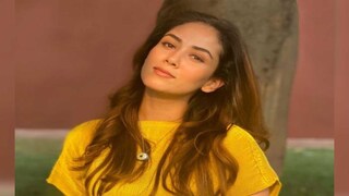 গোছা গোছা চুল পড়ে যাচ্ছিল মীরা কাপুরের! কী ভাবে মাথায় আগের গোছ ফিরে পেলেন শাহিদ-পত্নী 