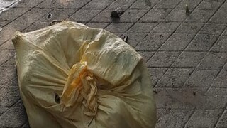 নকশালবাড়িতে বস্তাবন্দি দেহ