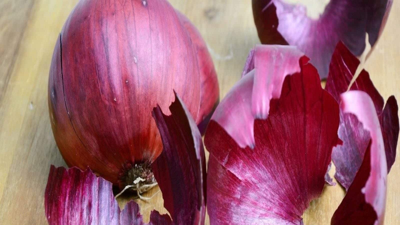 Here is the benefits of Onion সর্বগুণসম্পন্ন, তবু কেন বারংবার ব্রাত্য়