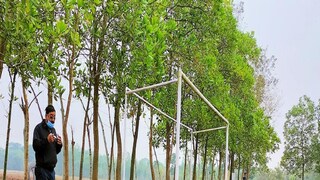 পাড়ায় শিক্ষালয়ে মিলবে মিড ডে মিলও!