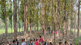 এই সেই পাড়ায় শিক্ষালয়