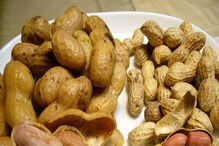Peanuts Health Benefits: কাঁচা বাদাম না ভাজা, কোনটি উপকারী? ভাইরাল গান শোনার আগে জানুন বাদামের 'আসল' রহস্য! Peanuts Health Benefits: কাঁচা বাদাম না ভাজা, কোনটি উপকারী? ভাইরাল গান শোনার আগে জানুন বাদামের 'আসল' রহস্য!