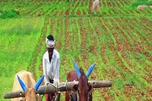 এই দিন আসতে চলেছে যোজনার আগামী কিস্তির টাকা, জেনে নিন কোন তারিখে...