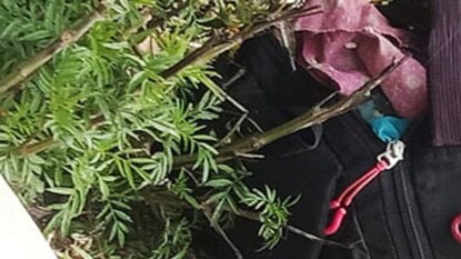 এই ব্যাগ ঘিরেই আতঙ্ক এই ব্যাগ ঘিরেই আতঙ্ক