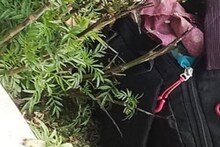 শ্মশানে ব্যাগের মধ্যে ওটা কী! তুমুল আতঙ্ক হাতিয়ায়, শেষমেশ যা মিলল...