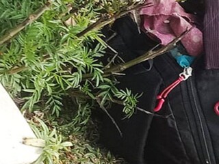 এই ব্যাগ ঘিরেই আতঙ্ক