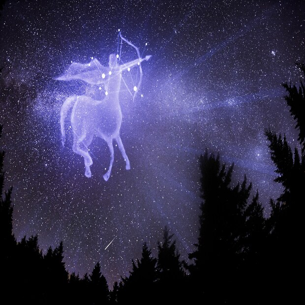 ধনু (Sagittarius): নভেম্বর ২২ থেকে ডিসেম্বর ২১।  আজকের দিনটি বেশ ভাল কাটলেও মনে মনে খানিকটা মুষড়ে পড়তে দেখা যাবে।  লাকি সাইন– একটি চড়ুই