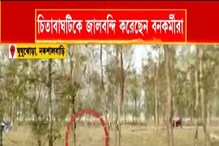 সন্দেশখালির মেঠেখালিতে বাঘ, নকশালবাড়িতে মগডাল থেকে নামানো হল চিতা সন্দেশখালির মেঠেখালিতে বাঘ, নকশালবাড়িতে মগডাল থেকে নামানো হল চিতা