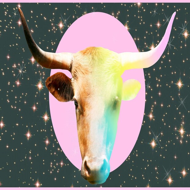 বৃষ (Taurus): এপ্রিল ২০ থেকে মে ২০।  নিজের মনের কথা শুনেই এগোতে হবে। অনেক কথা মাথায় আসলেও মানসিক শক্তির অভাব থাকবে।  লাকি সাইন – হারিয়ে যাওয়া বস্তু খোঁজা