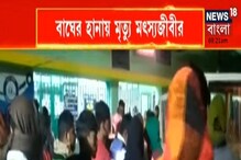 কুলতলিতে বাঘের হানায় মর্মান্তিক মৃত্যু মৎস্যজীবীর, দেখুন ভিডিও কুলতলিতে বাঘের হানায় মর্মান্তিক মৃত্যু মৎস্যজীবীর, দেখুন ভিডিও